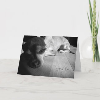 Danke Chihuahua-Karte