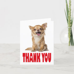 Danke Chihuahua Welpe Hund Blank Notecard