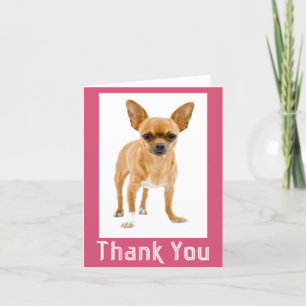 Danke Chihuahua Welpe Hund Blank Notecard