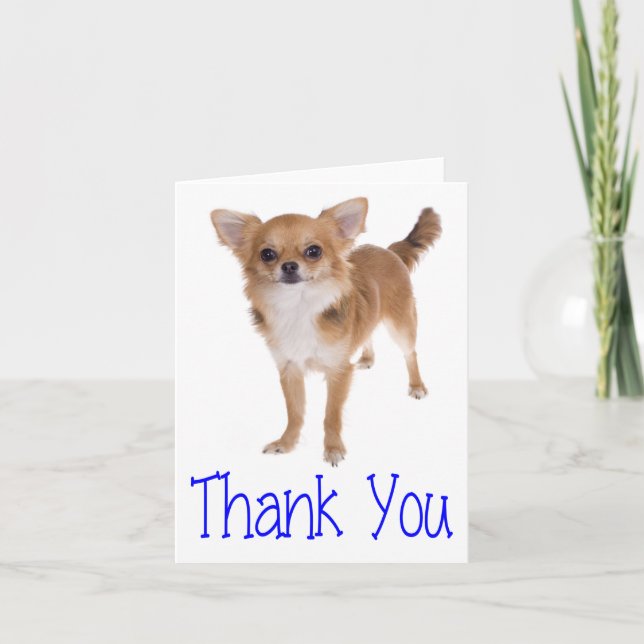 Danke Chihuahua Welpe Hund Blank Notecard (Vorderseite)