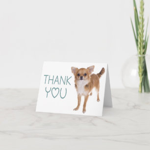 Danke Chihuahua-Welpe Hund leer Notizkarte