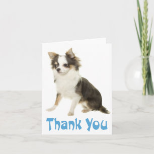 Danke Chihuahua Welpen Hund Leere Karte