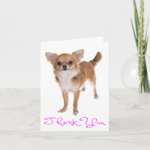 Danke Chihuahua-Welpen-Hund Leere Karte