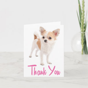 Danke Chihuahua Welpen Hund Leere Karte