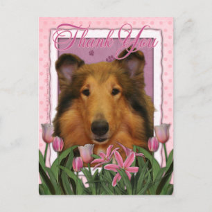 Danke - Collie - Natalie Postkarte