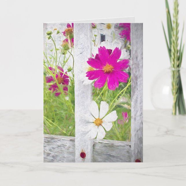 Danke Cosmos Flower Garden (Vorderseite)