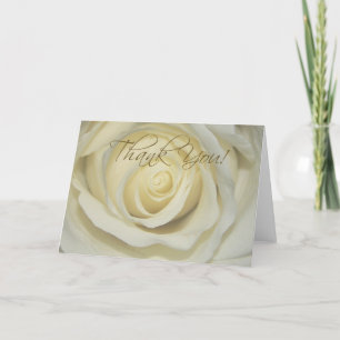 Danke Cream Rose Karten
