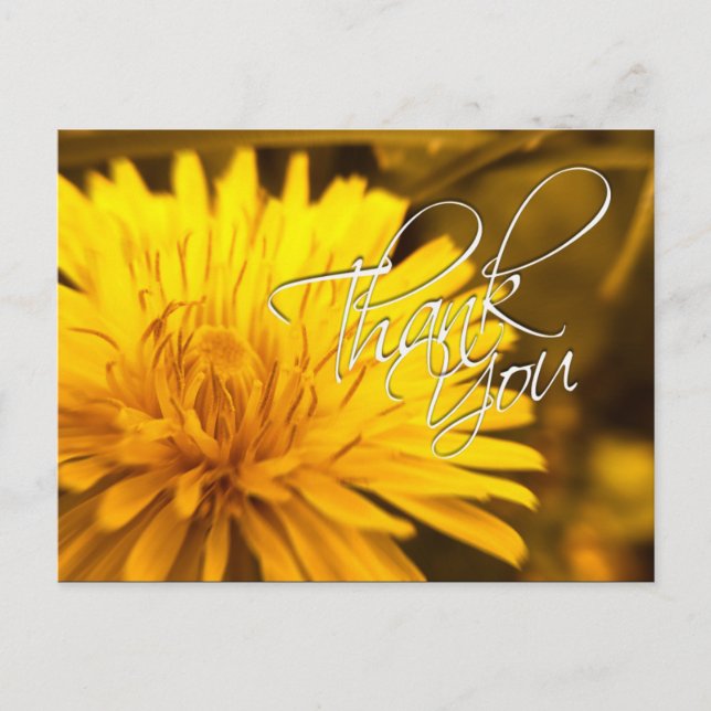 Danke Dandelion Yellow Blume Postcard Postkarte (Vorderseite)