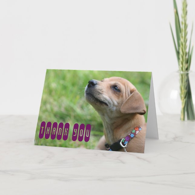 Danke! Dankeskarte (Vorderseite)