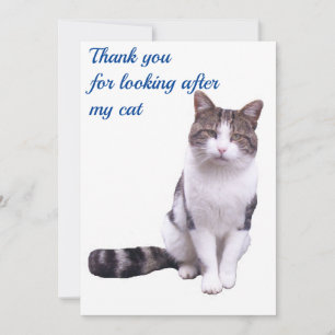 Danke, dass du dich um meine Katzenkarte gekümmert Dankeskarte