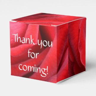 Danke, dass du gekommen bist Gunst Box Geschenkschachtel