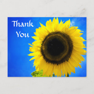Danke, dass Sie die Gelbe Sonnenblume Gruß Postkar Postkarte