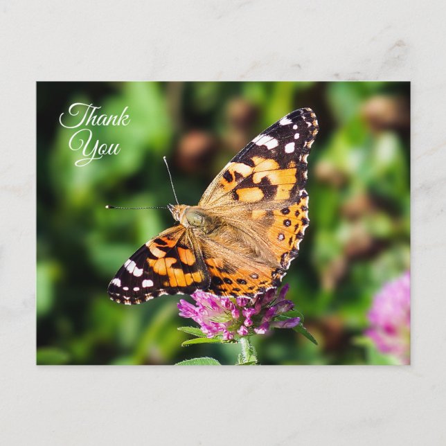 Danke, dass Sie die gemalte Lady Butterfly Postcar Postkarte (Vorderseite)