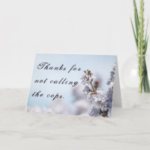 Danke, dass Sie die Polizisten nicht aufgerufen ha