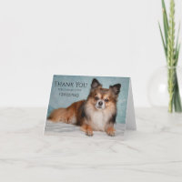 Danke, dass Sie nach unserem Haustier gesucht habe