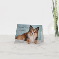 Danke, dass Sie nach unserem Haustier gesucht habe