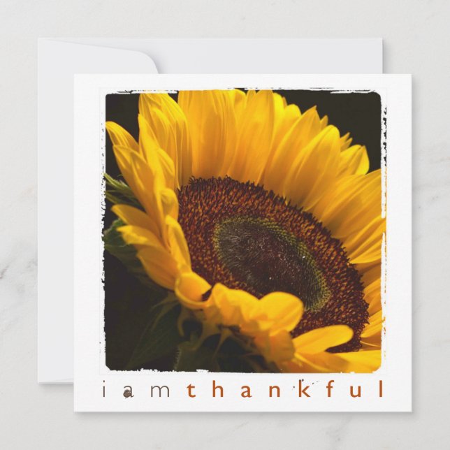 Danke flache Karten der Sonnenblumephotographie (Vorderseite)