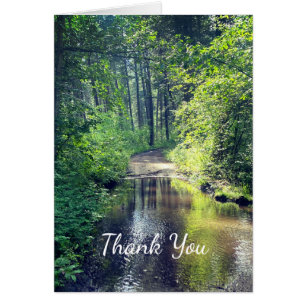 Danke, Forest Lake Wilderness Friedliche Szene