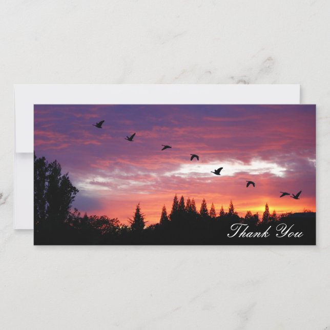 "Danke", Foto-Karte Dankeskarte (Vorderseite)