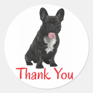 Danke Französische Bulldogge Welpen Hund Aufkleber