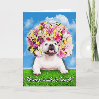 Danke für das Ganze