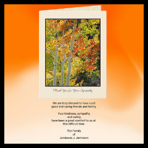 Danke für Ihr Beileid, Drei Aspekte