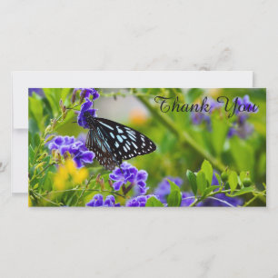 Danke für Ihre Fotokarte - Blue Tiger Butterfly