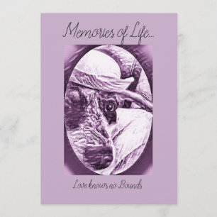 DANKE FÜR KÜMMERTE KARTE - VERLUST DES HAUSTIERES