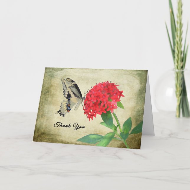 Danke fürs Abendessen, Butterfly. (Vorderseite)