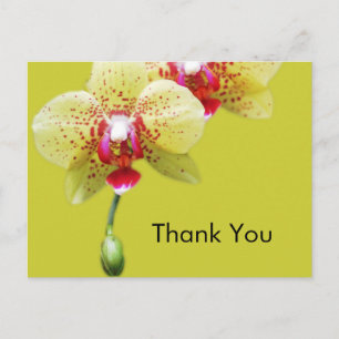 Danke, gelbe Orchideenblumen Postkarte