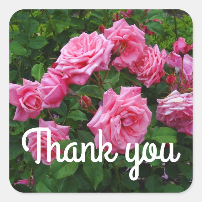 Danke Gene Boerner Rose #2 Stickers (Vorderseite)