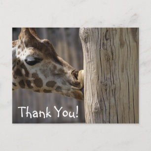 Danke Giraffe Kisses Postkarte
