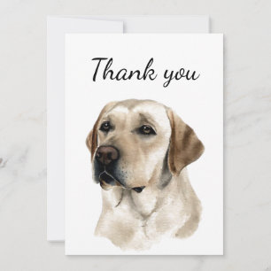 Danke Golden Labrador Hund Haustier Tier