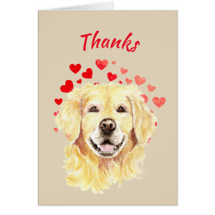 Danke, Golden Retriever Dog