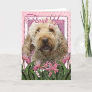 Danke - Goldendoodle