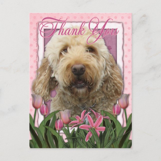 Danke - Goldendoodle Postkarte (Vorderseite)