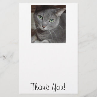 Danke/Graue Katze Briefpapier