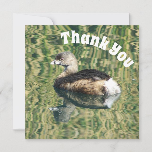 Danke Grebe und Reflektion Foto Wertschätzung (Vorderseite)