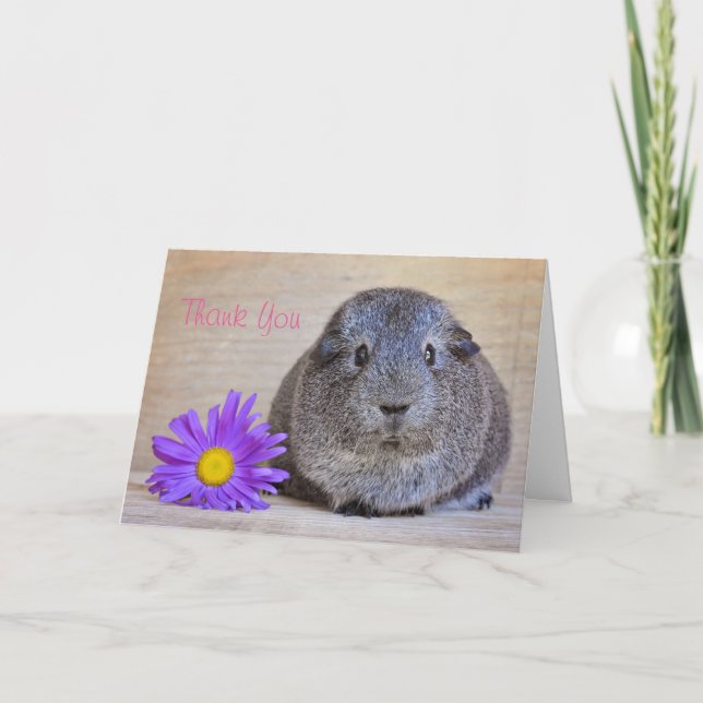 Danke Guinea Pig Card Genera Daisy (Vorderseite)