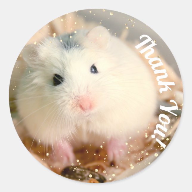 Danke - Hammyville White Hamster Runder Aufkleber (Vorderseite)