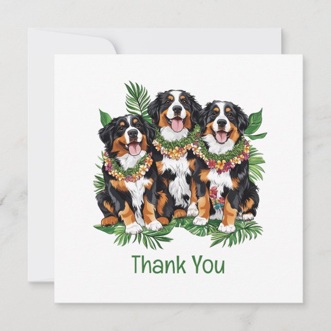 Danke Hawaiian Berner Sennenhunde (Vorderseite)