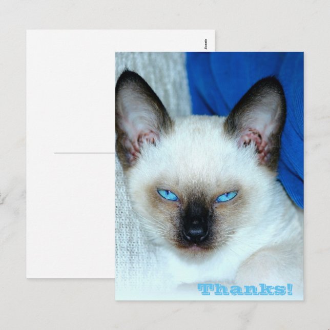 Danke Holiday Postcard Feiertagspostkarte (Vorne/Hinten)