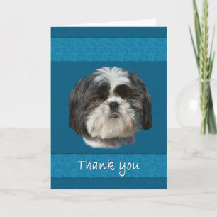 Danke, Hundekarte Shih Tzu Dankeskarte