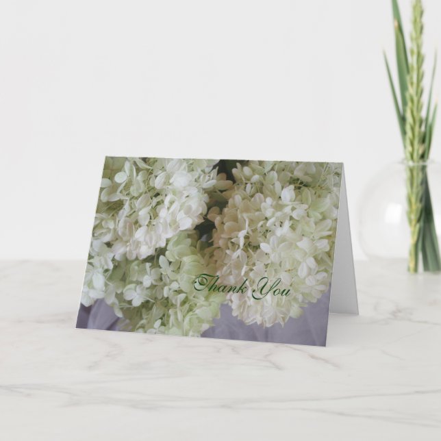 Danke Hydrangea (Vorderseite)