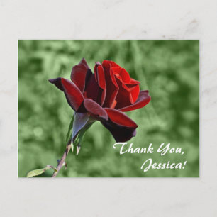 Danke, Jessica! Postkarte