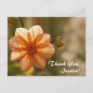 Danke, Jessica! Postkarte