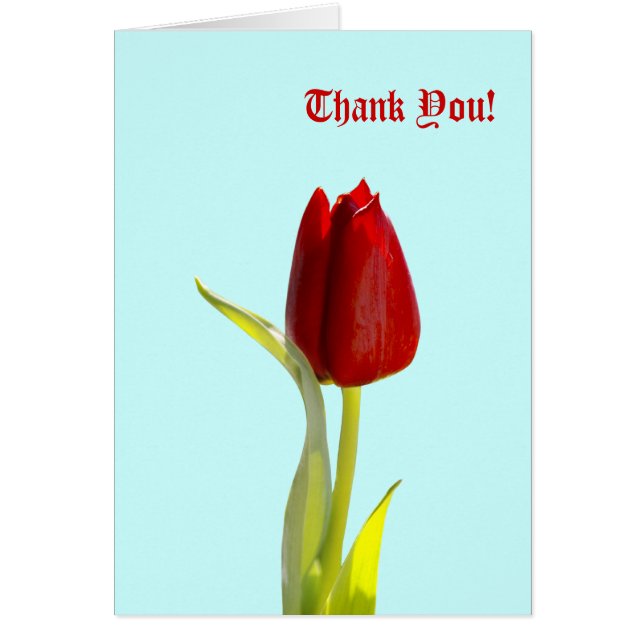 Danke! Karten (Vorne)