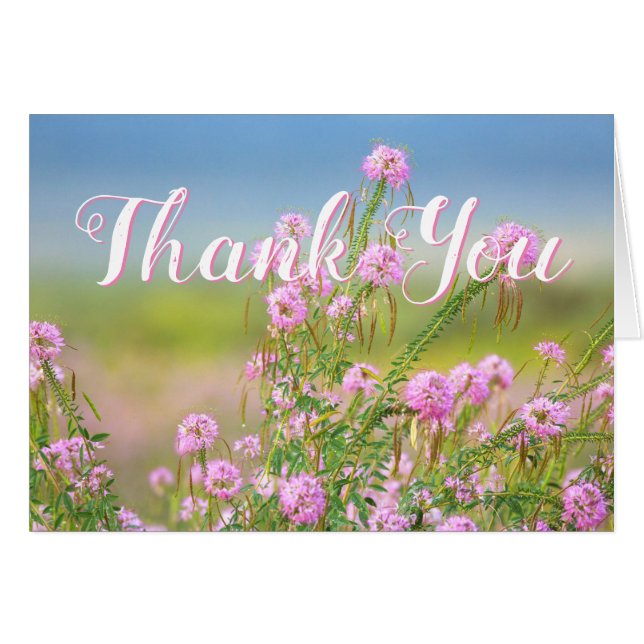 Danke leeres Wildblumen-Foto (Vorderseite (Horizontal))