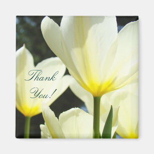 Danke! Magnet Gelb Weiße Tulip Blume Boss