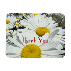 Danke! Magnete Premium Gänseblümchen Blumen